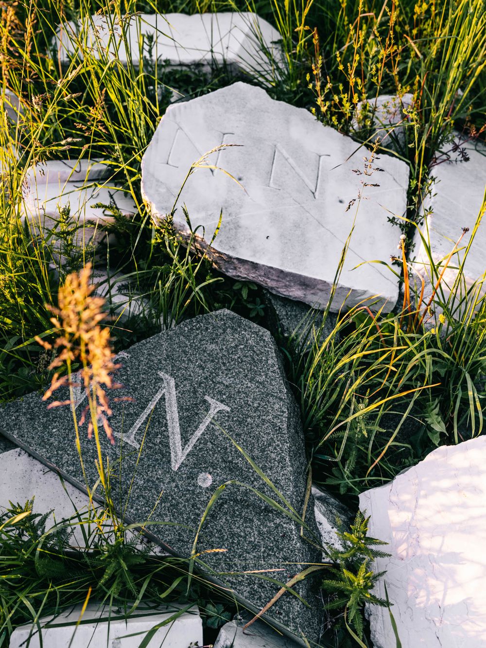 Stone markers engraved with letter N among wild grass and rocks outdoors.