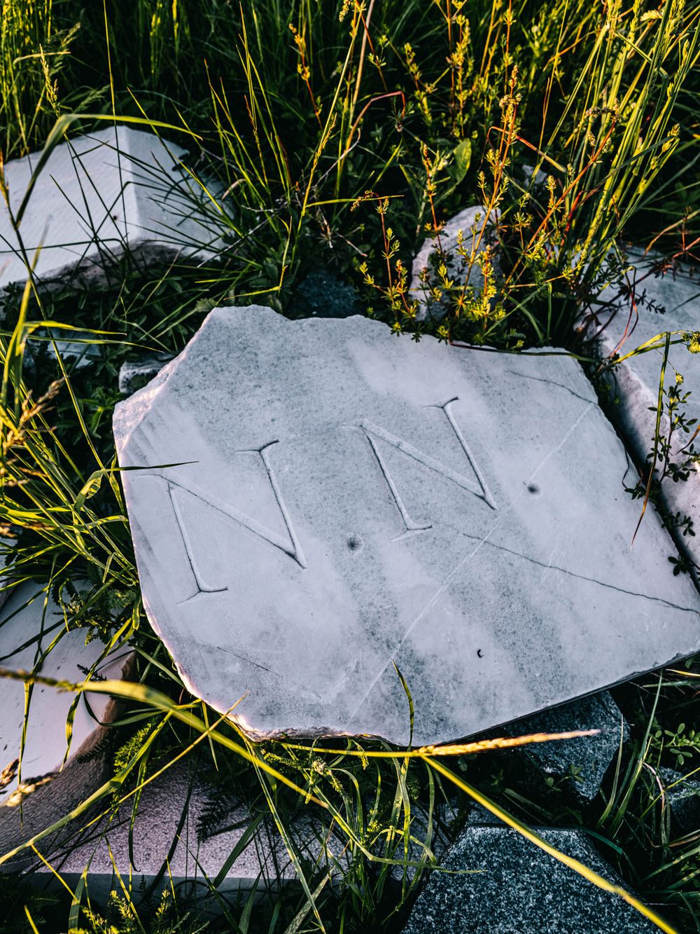 A weathered stone fragment engraved with the letters NN lies among wild green grass and rocks.