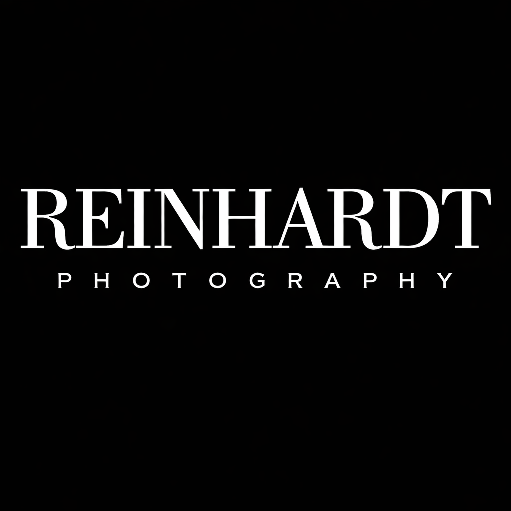 A minimalist white banner with a clean, simple design featuring a blank white background.