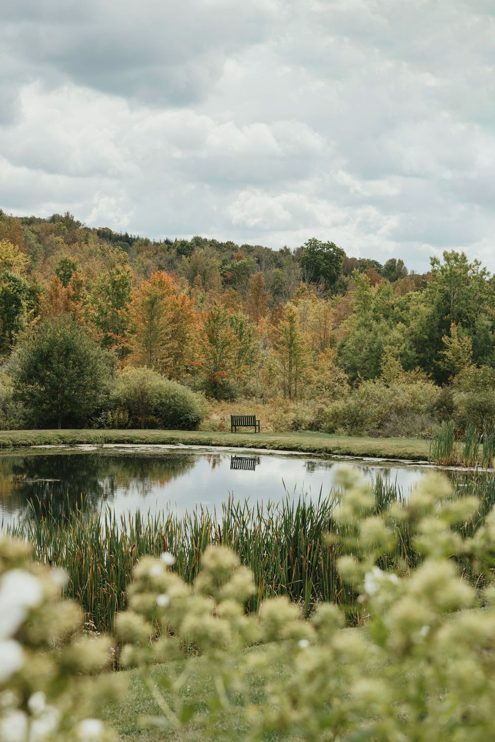 Tranquil lake surrounded by autumn trees with cattails and wildflowers in the foreground under cloudy skies.