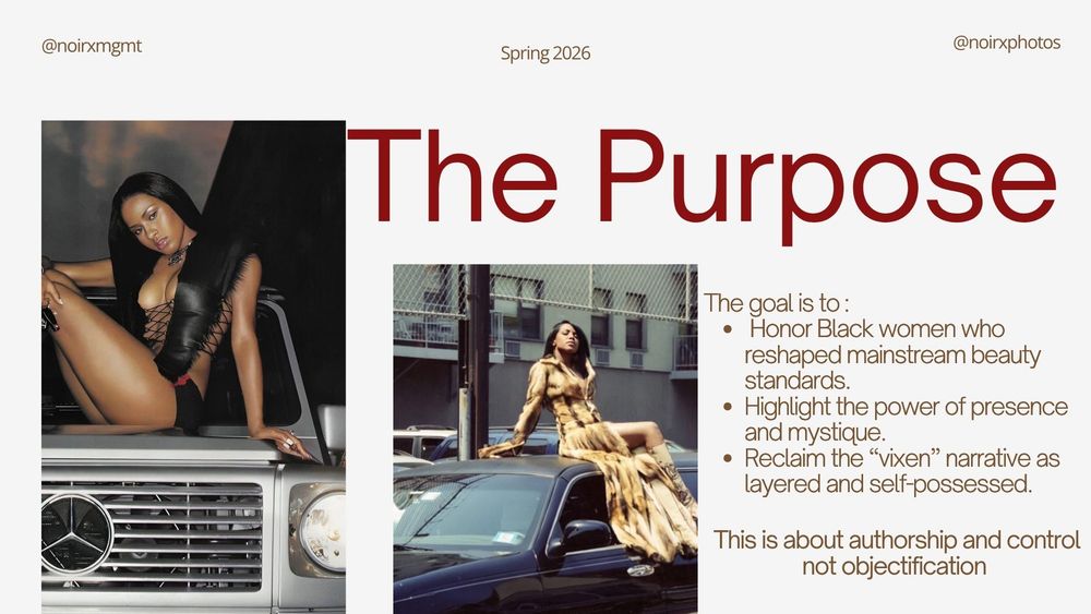 Presentation slide titled The Purpose outlining goals to honor Black women and reclaim the video vixen narrative.