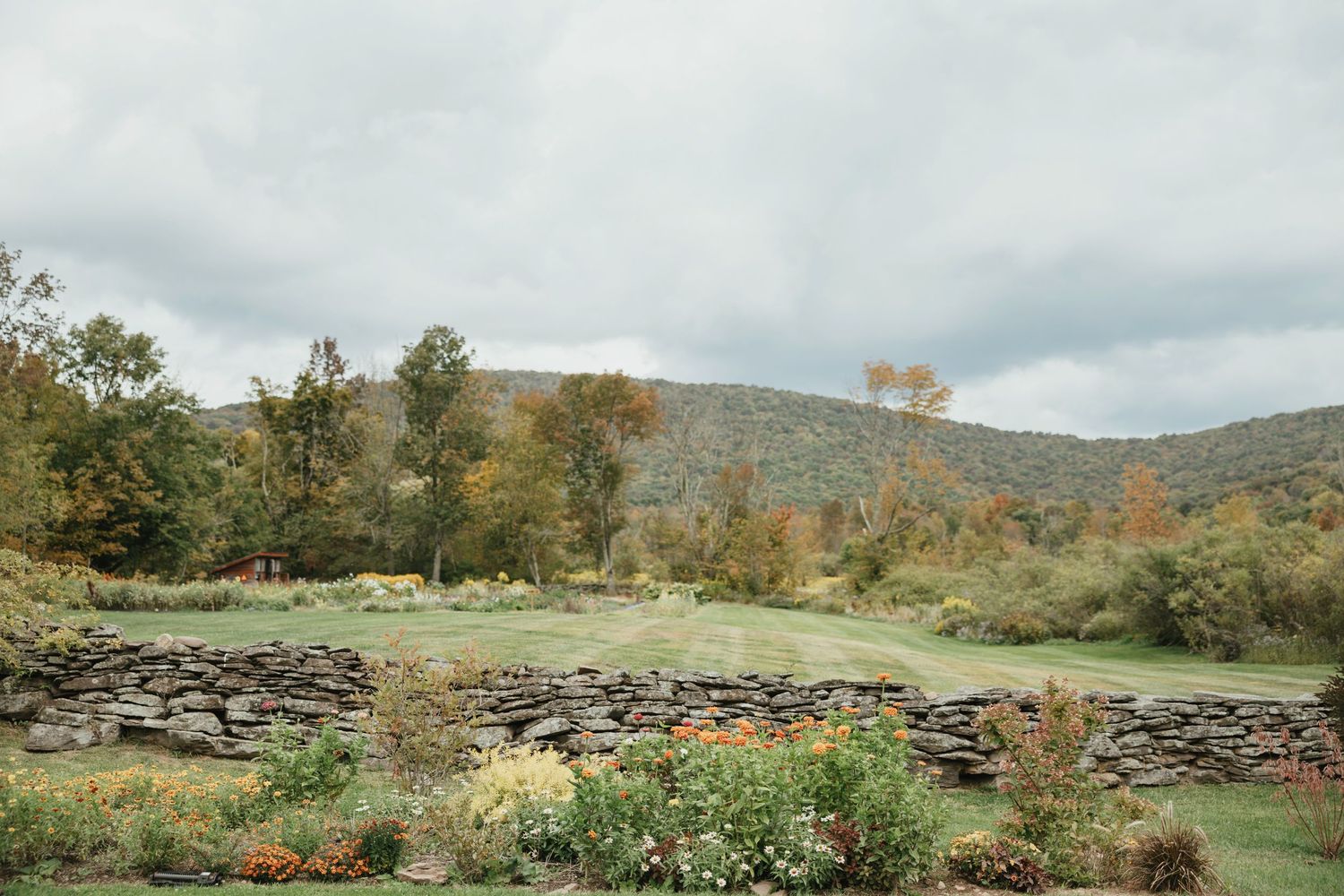 A panoramic view of rolling hills with stone walls and autumn foliage in a rural countryside landscape.