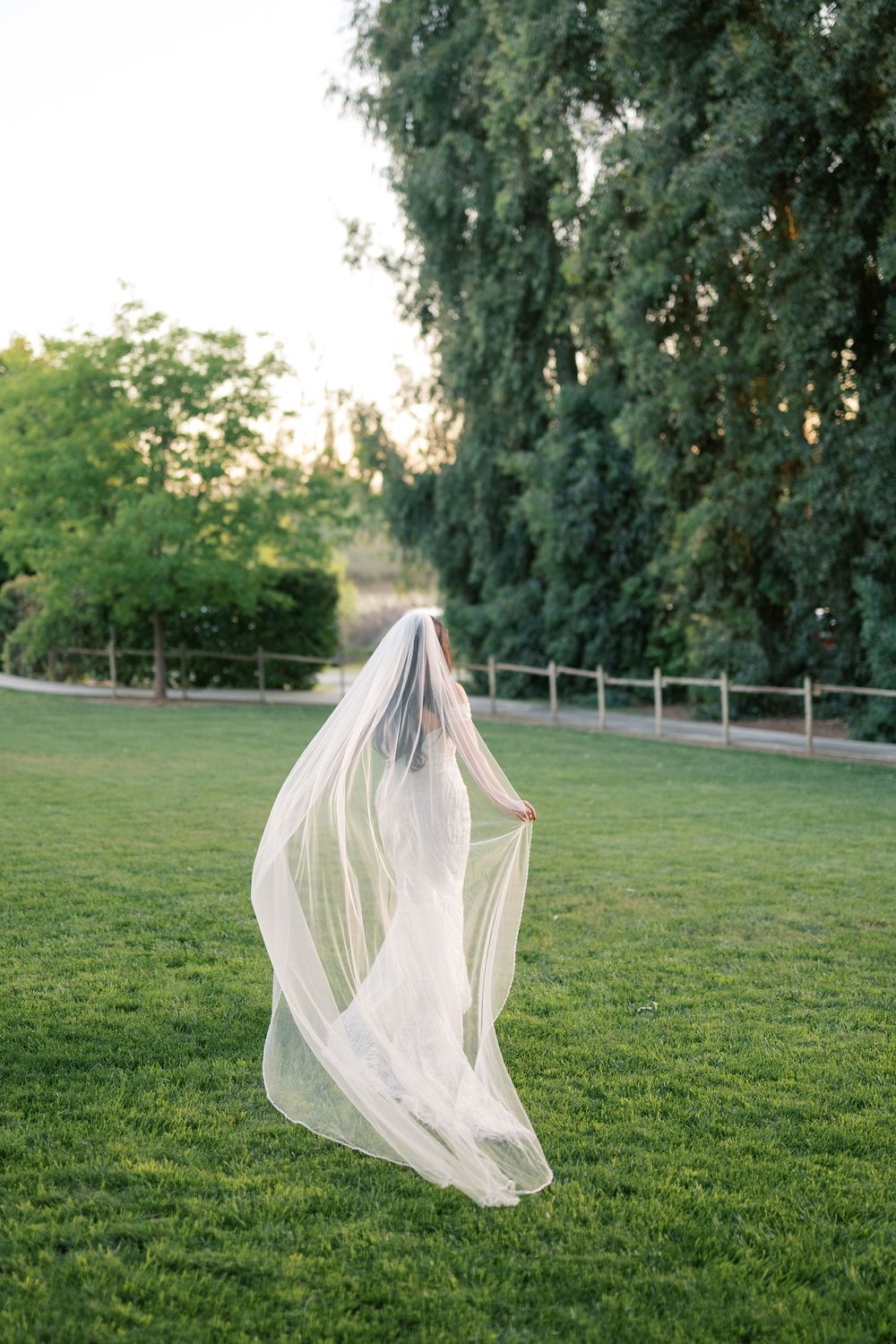 Bride twirls in flowing cathedral veil on lush green lawn surrounded by tall trees at dusk.