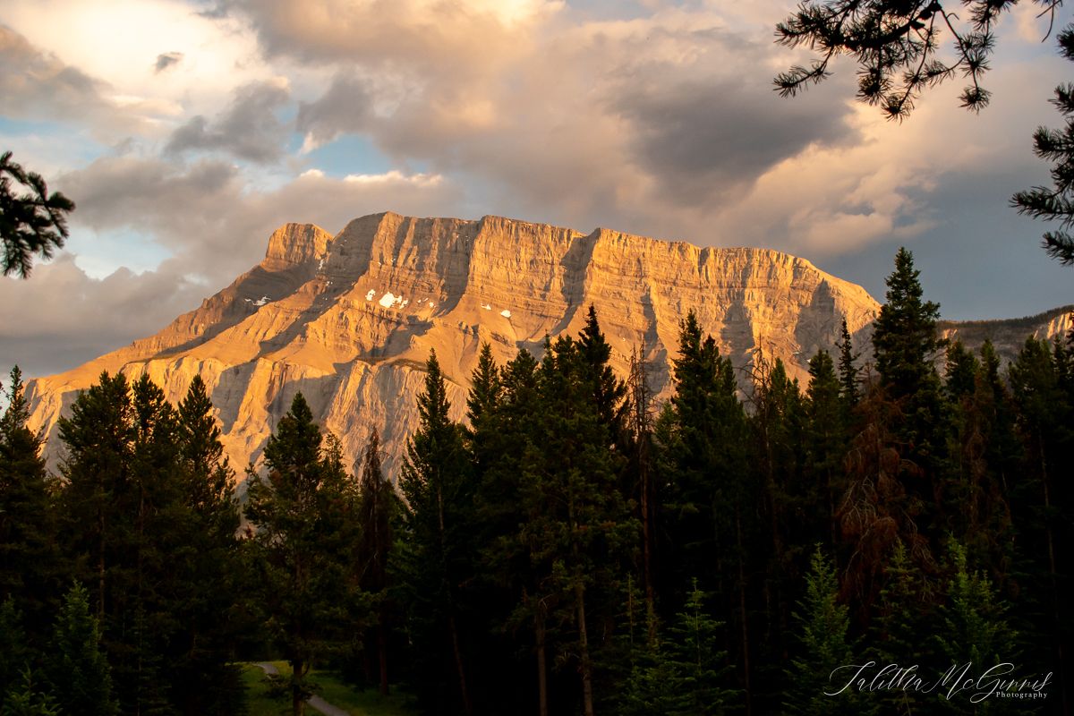 Dramatic sunset illuminates mountain peaks and evergreen forest silhouettes in a panoramic landscape view.