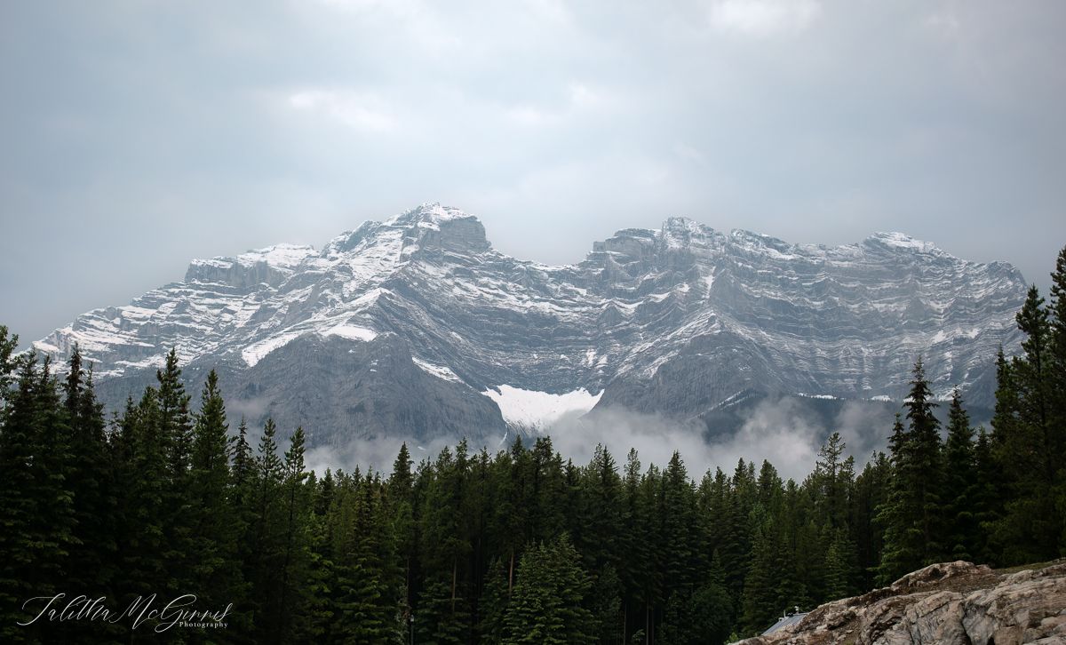 Snow-capped mountain peaks rise above evergreen forests in a dramatic panoramic winter landscape.