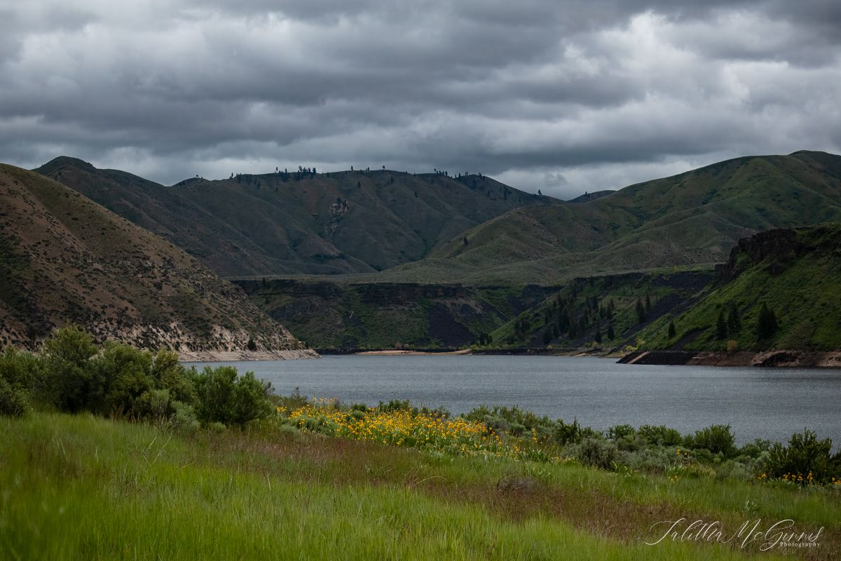 Dramatic panoramic view of a mountain lake under stormy clouds with green hills and wildflowers in the foreground.