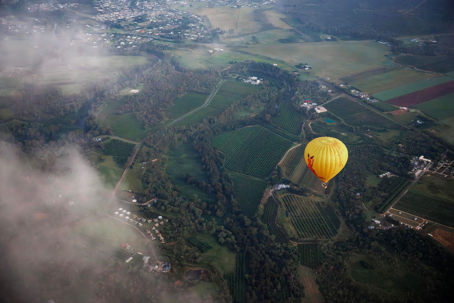 Yellow hot air balloon soaring over lush green farmland and vineyards, aerial landscape view with clouds. Cairns Australia