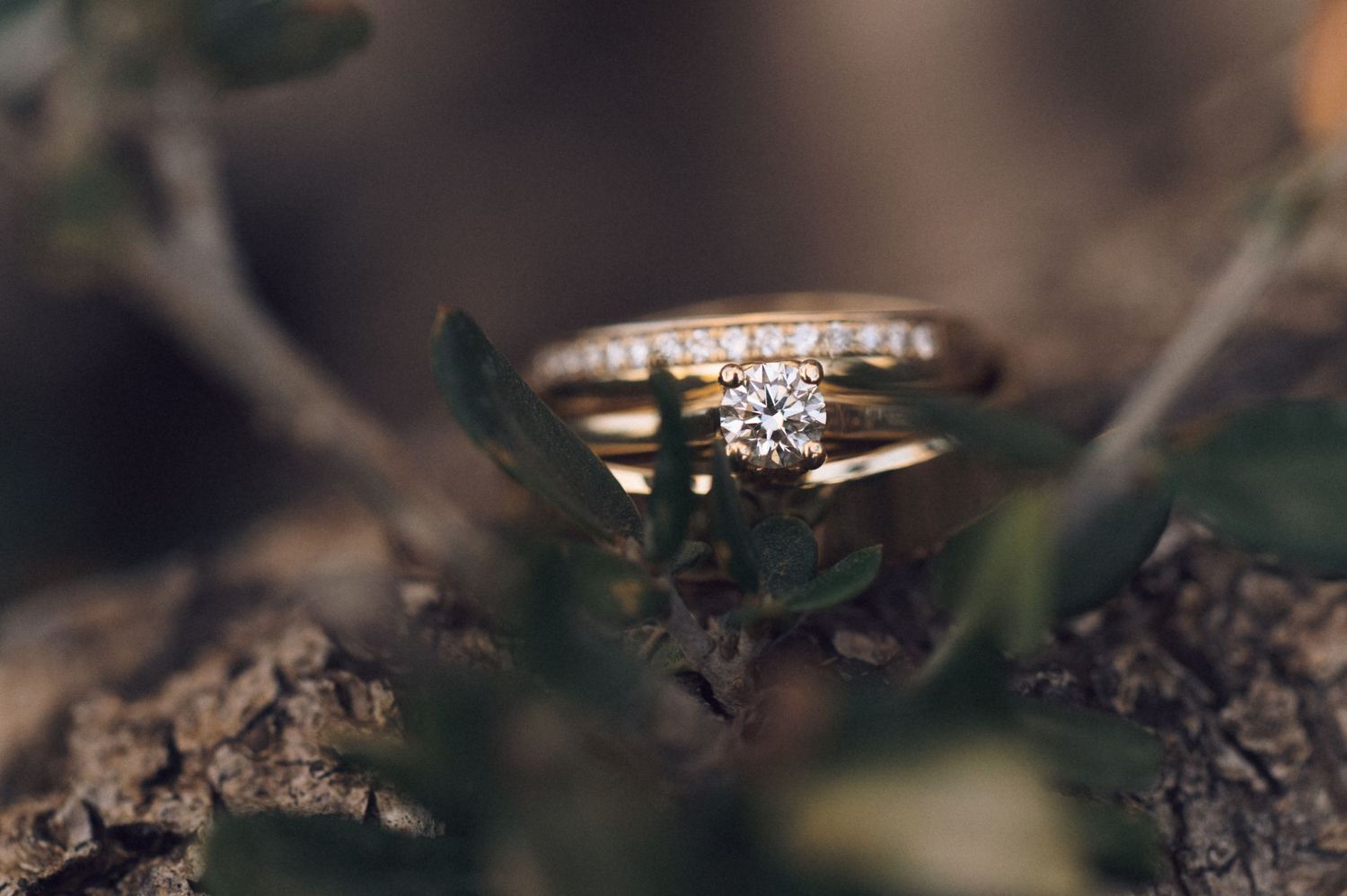 Gold diamond engagement ring and wedding band resting on tree bark surrounded by green leaves.