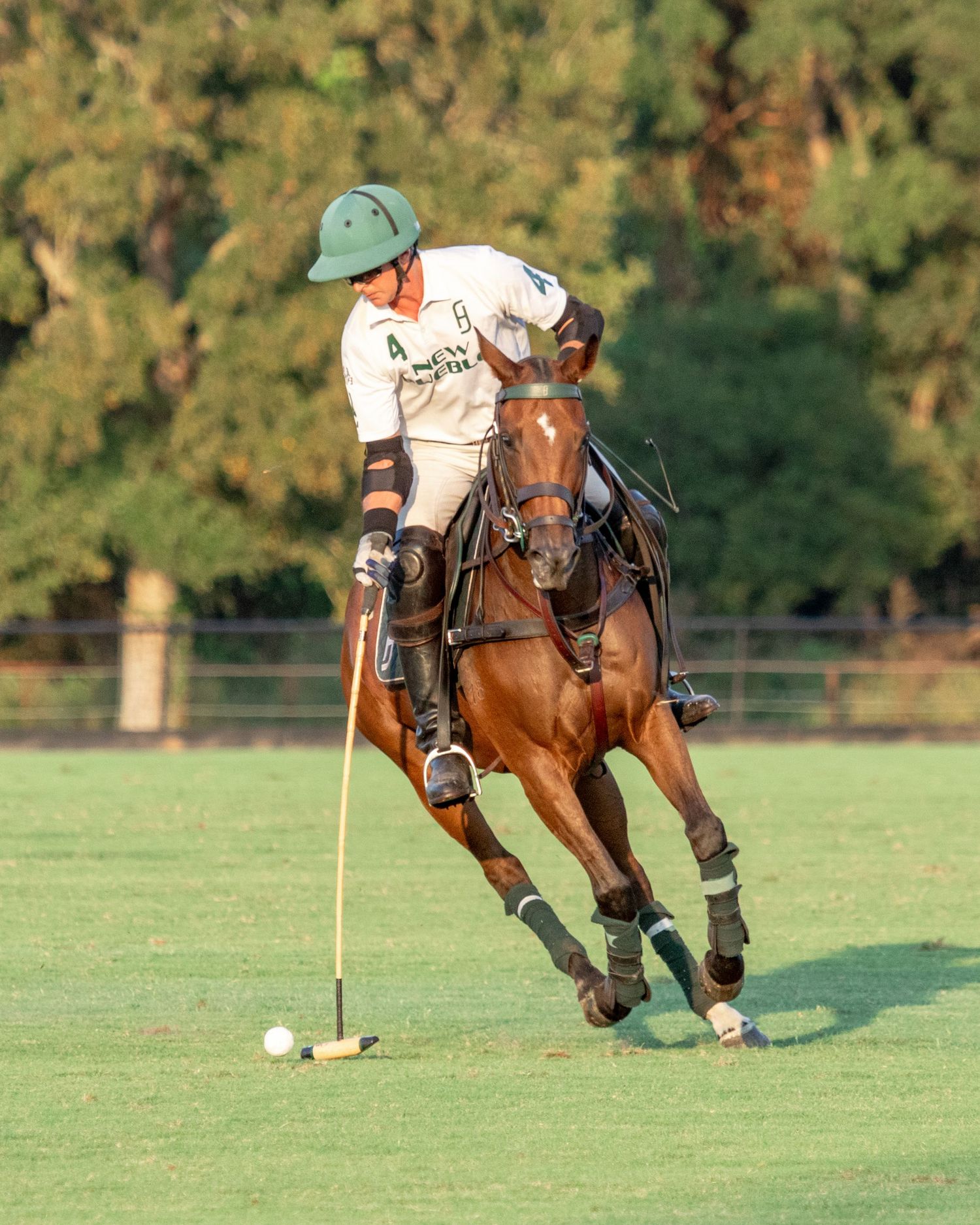 Polo Jeff Hall