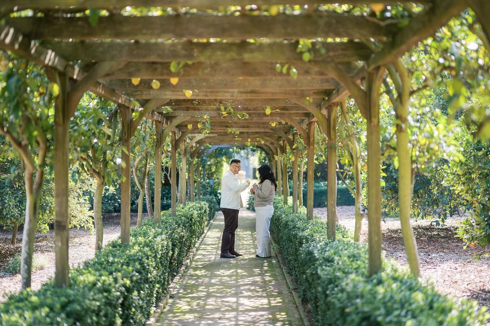 A scenic garden walkway covered by a wooden pergola with climbing vines and greenery overhead.