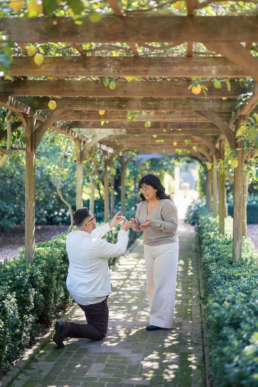 A couple playfully interacts under a wooden pergola covered in vines and dappled sunlight.