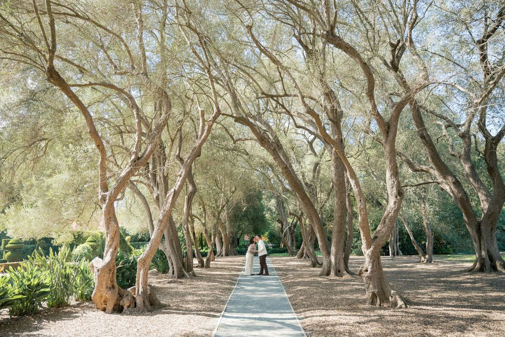 A winding pathway through majestic oak trees creates a natural tunnel in a garden setting.