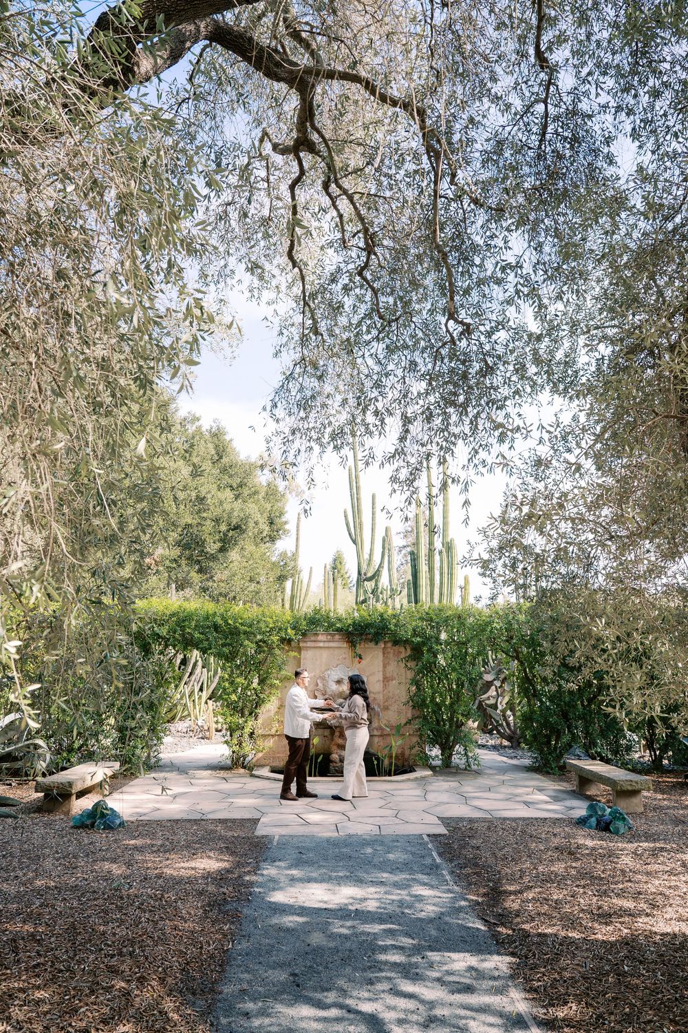 A winding path through a desert garden with trees and natural landscaping.