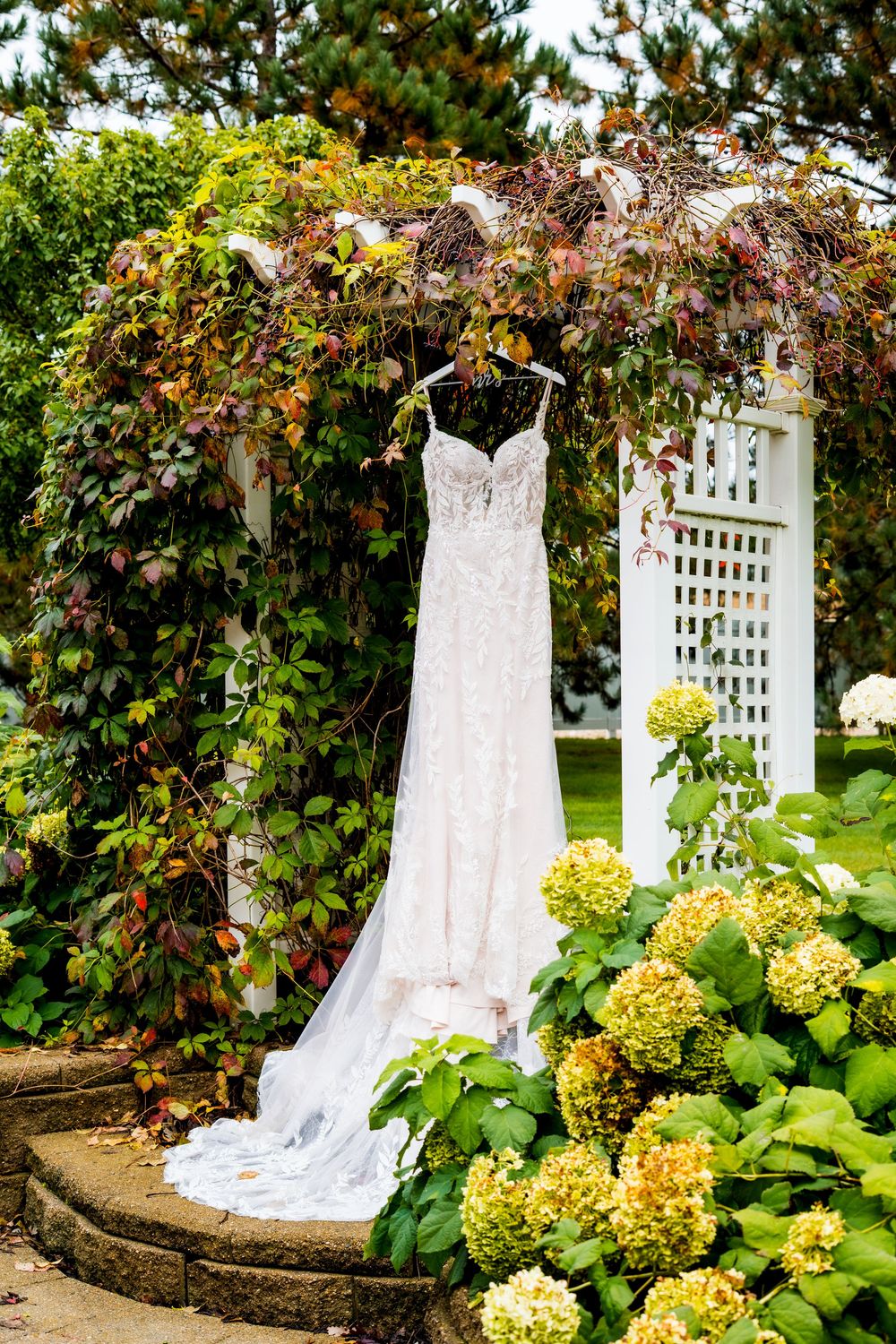 A white lace wedding dress hangs elegantly against a garden trellis with blooming yellow hydrangeas.