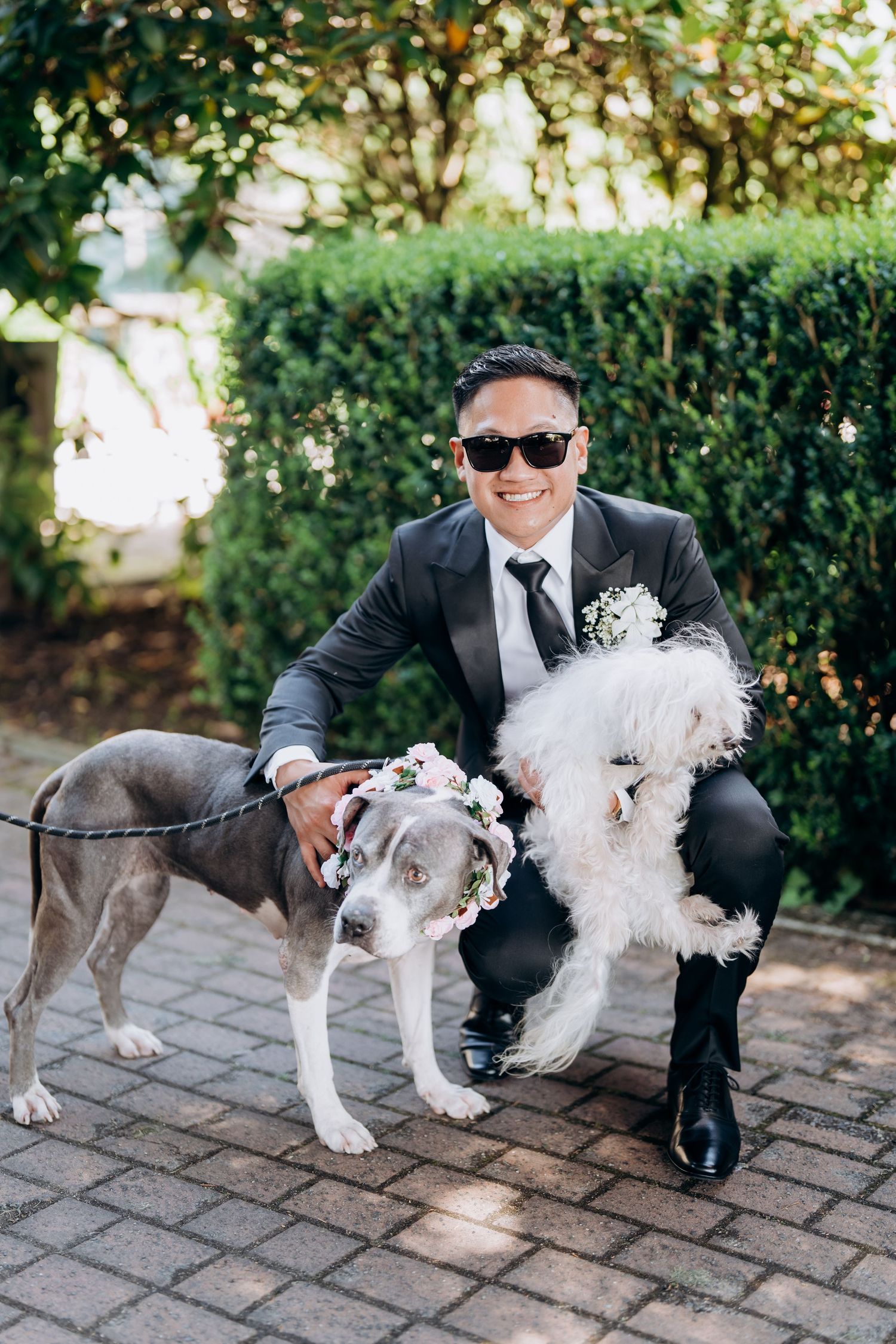 A person in a black suit kneels on brick pavers with a fluffy white dog wearing a bow tie.