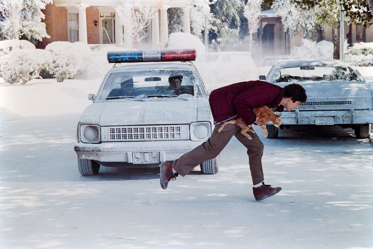 Billy saving a cat