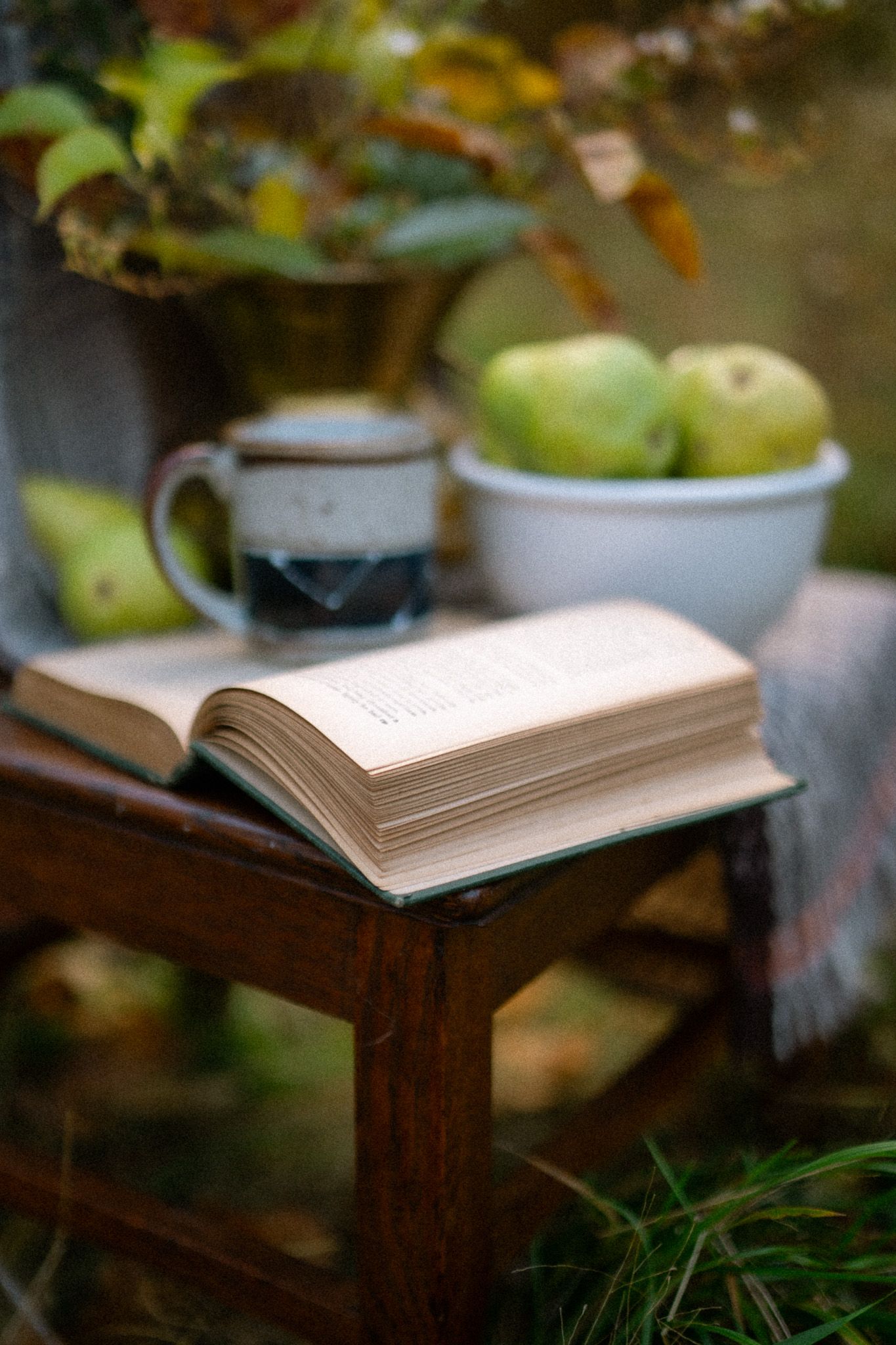 Open book on a wooden chair resting on grass in soft natural lighting with bokeh effect in background.