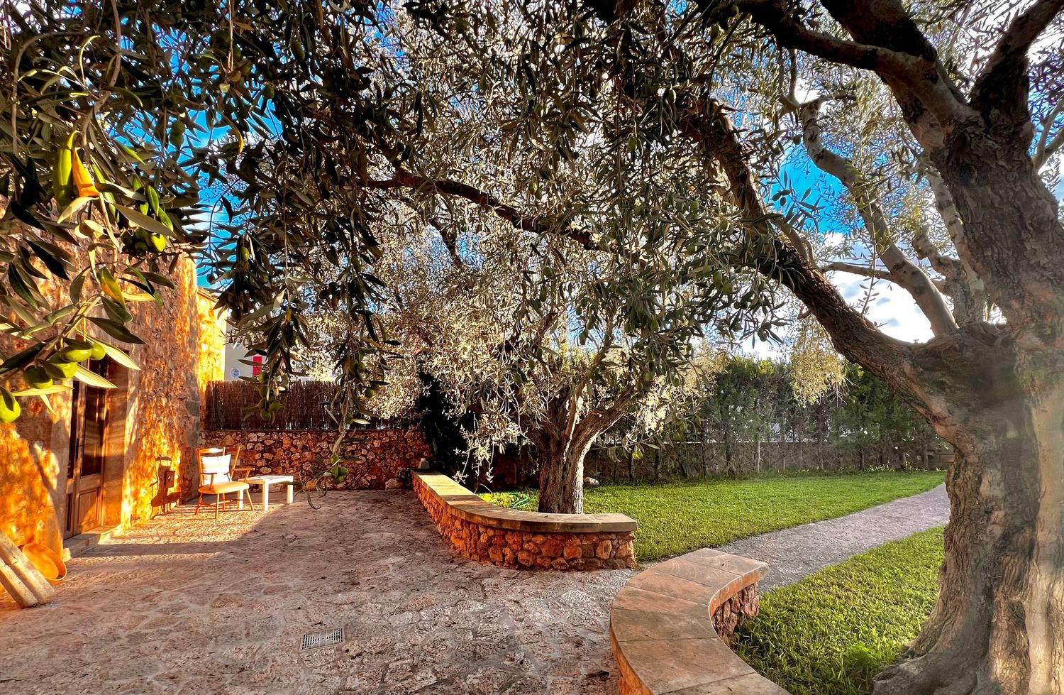 A winding stone pathway leads through olive trees and landscaping under a bright blue sky.