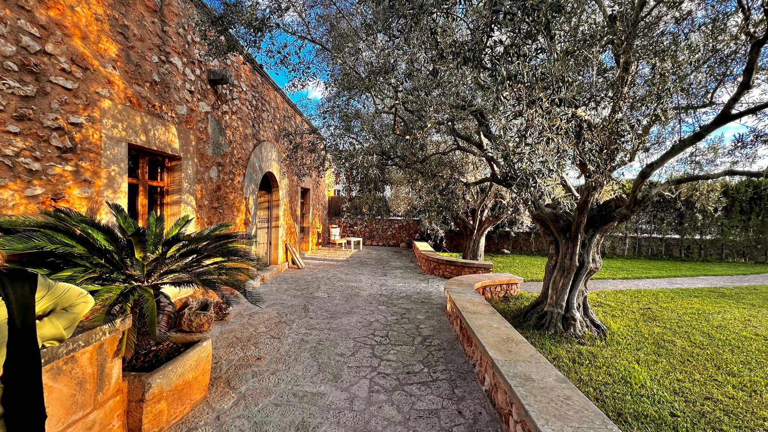 A panoramic view of a historic stone wall path illuminated by warm lights at dusk with trees and grass alongside.