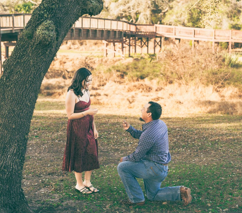 Romantic proposal scene under a large tree in a park during golden hour with a bridge in the background.