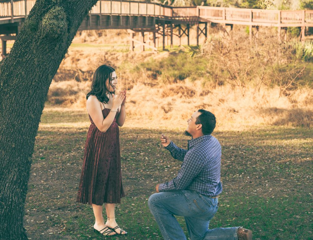 A outdoor proposal scene with someone kneeling on one knee beneath a tree in a park setting during golden hour.