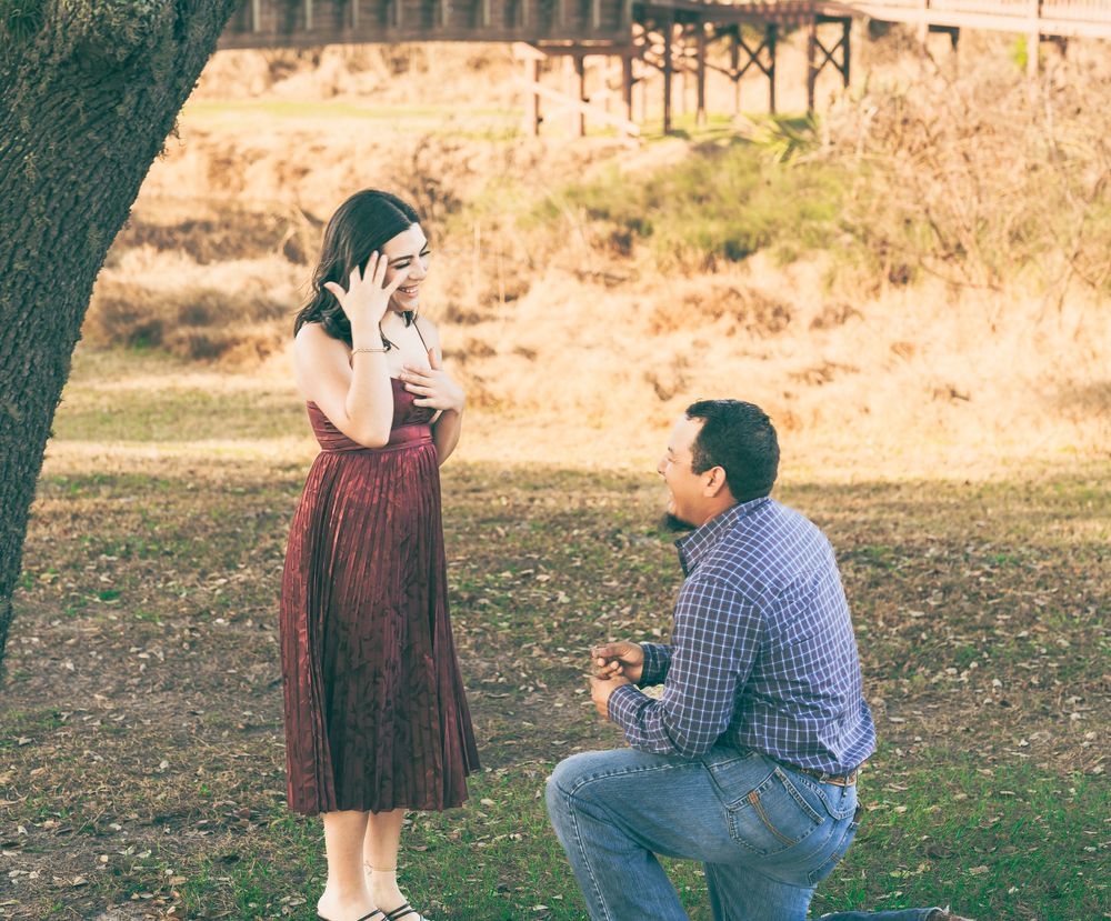 A romantic proposal scene takes place near a tree in a park during golden hour.