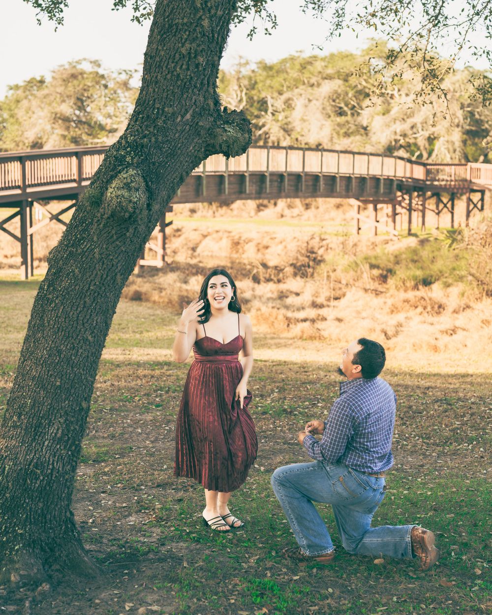 A romantic marriage proposal moment takes place under a large oak tree near a wooden bridge in a park setting.