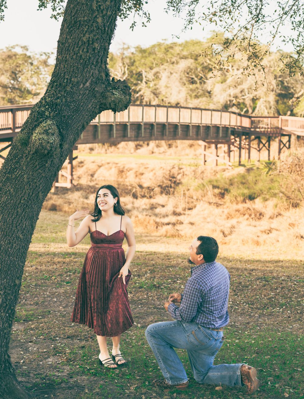 A romantic proposal scene under a tree with a bridge in the background, person in burgundy dress and plaid shirt.