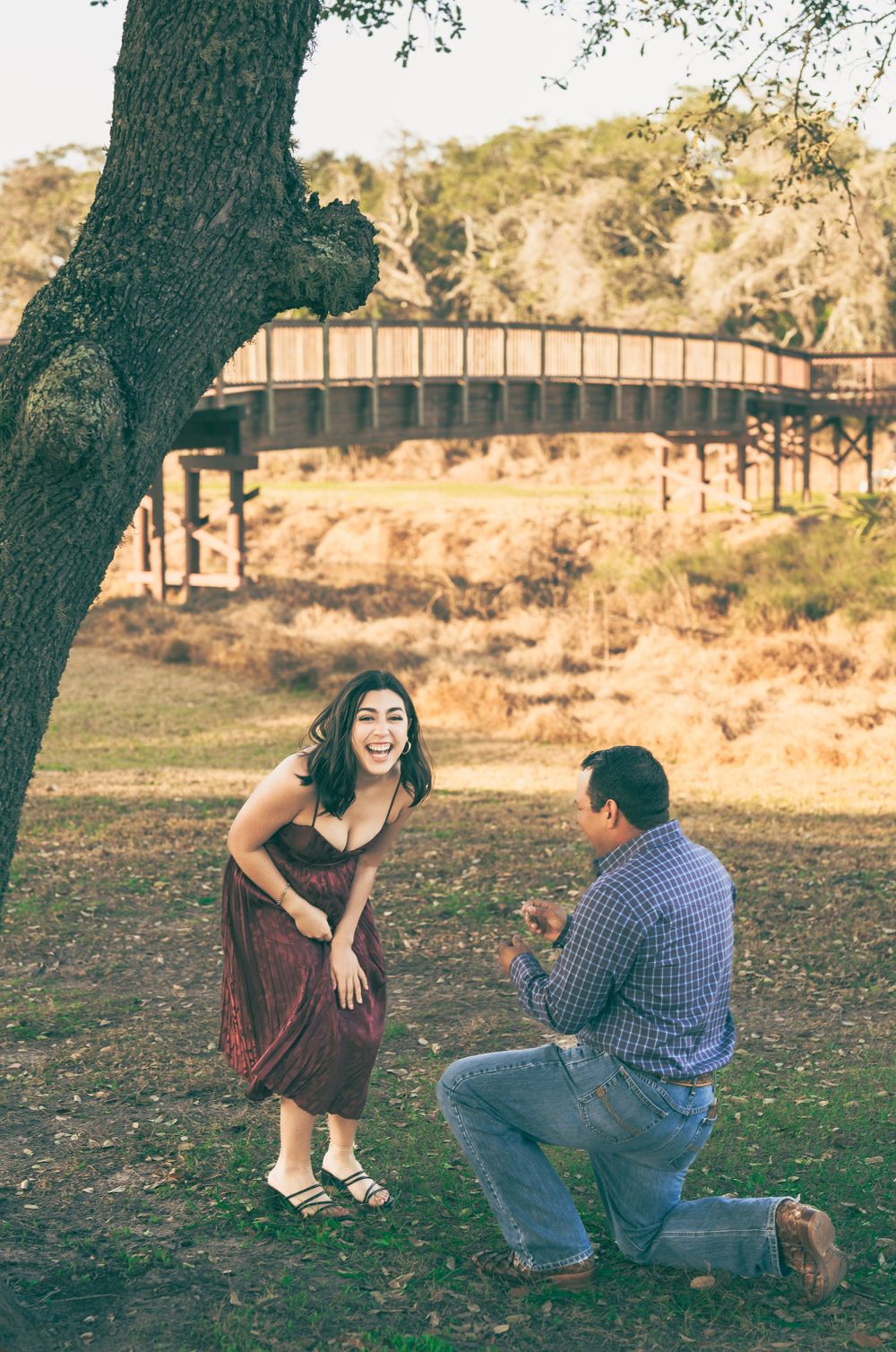 A couple shares a joyful engagement moment under a tree with a footbridge in the background during golden hour.