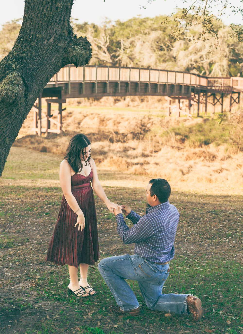 A proposal scene unfolds beneath a large tree with a wooden bridge in the background during golden hour.