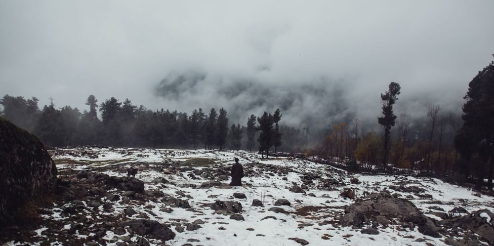 Snowy mountain landscape with fog rolling through dark pine trees in moody weather.