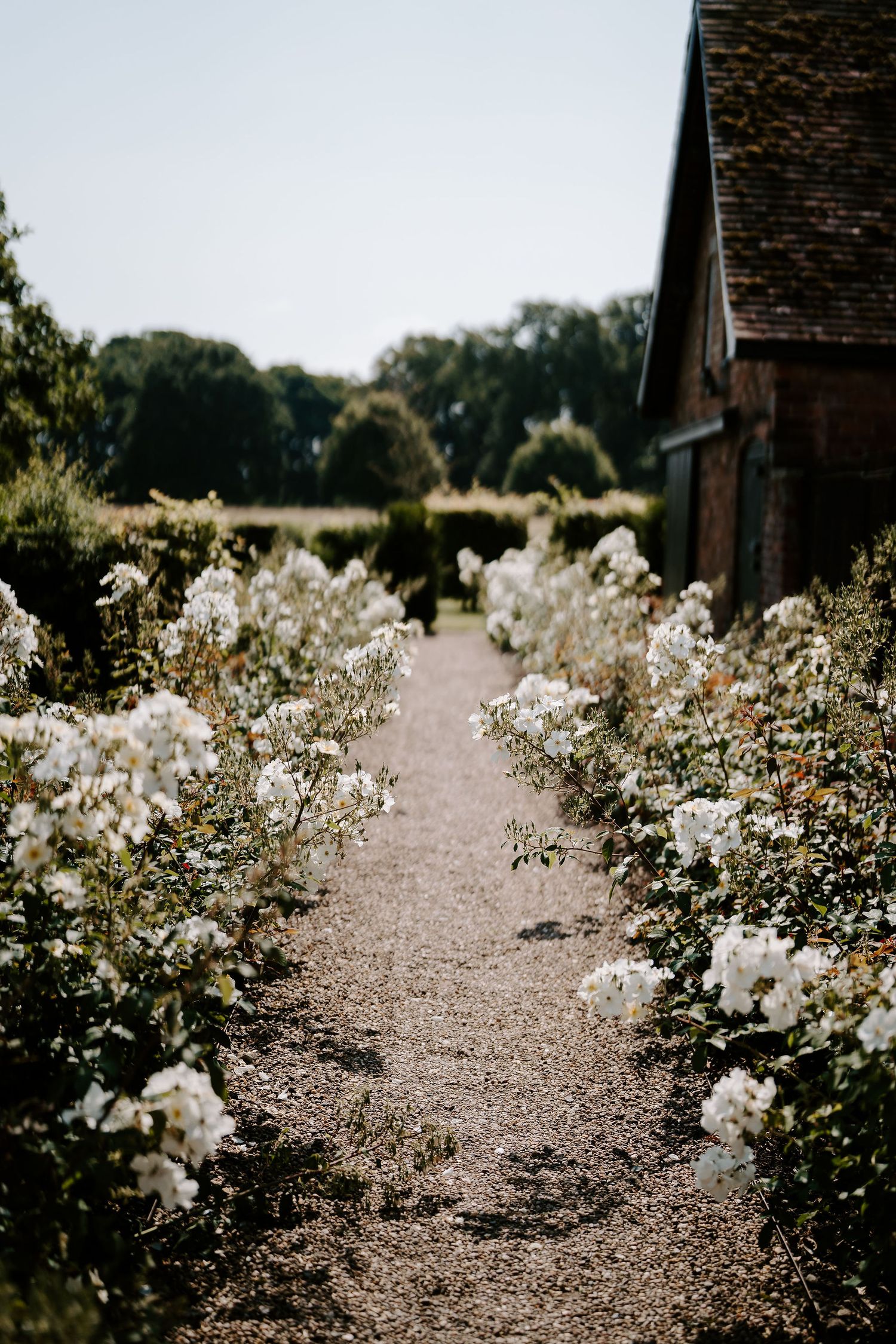 flowers in bloom at Iscoyd park