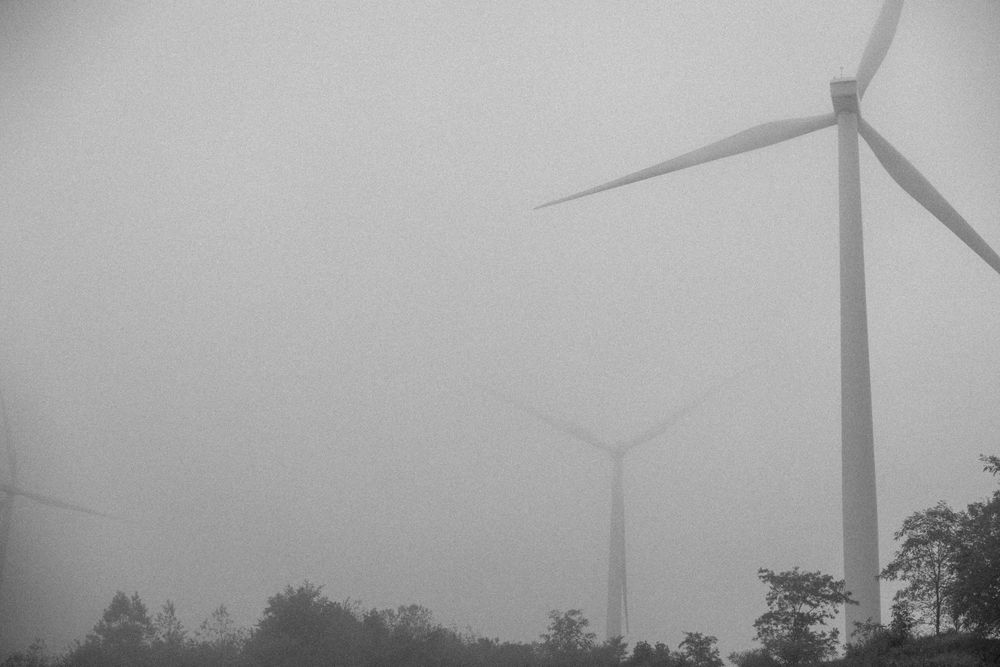 Black and white moody photo of wind turbines rising above trees in dense fog and overcast skies.