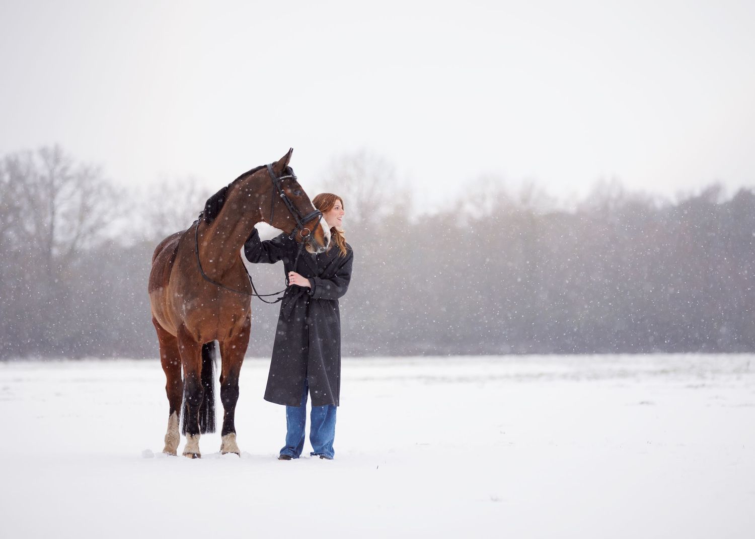 Paardenfotografie Twente - LivHoomansPhotography