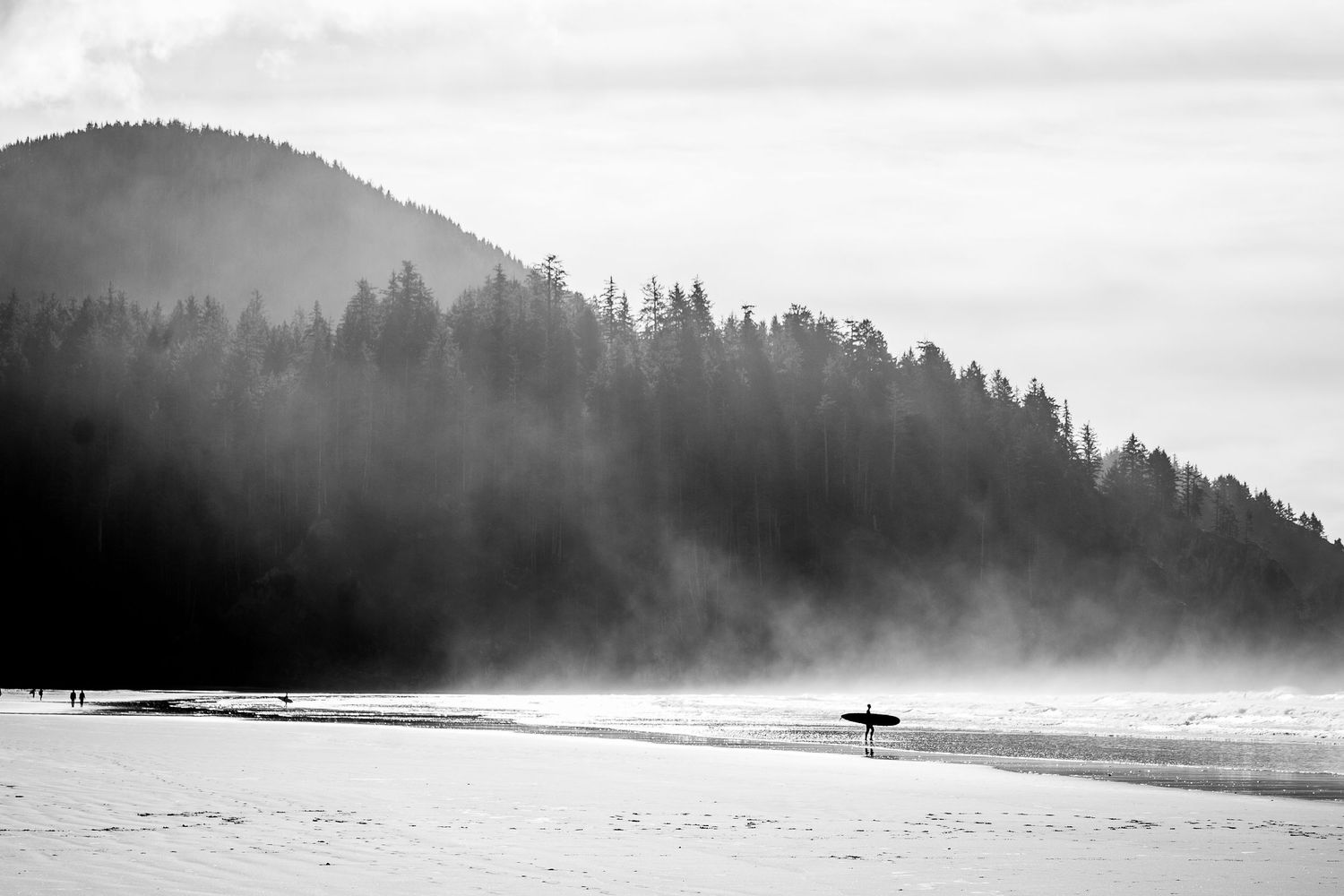 A series of black and white coastal landscape photos showing misty shorelines with evergreen trees and ocean waves.