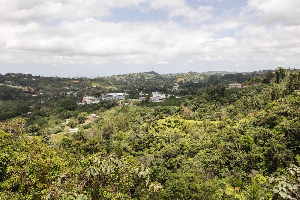 Aerial view of a lush green tropical valley with scattered buildings under a partly cloudy sky.