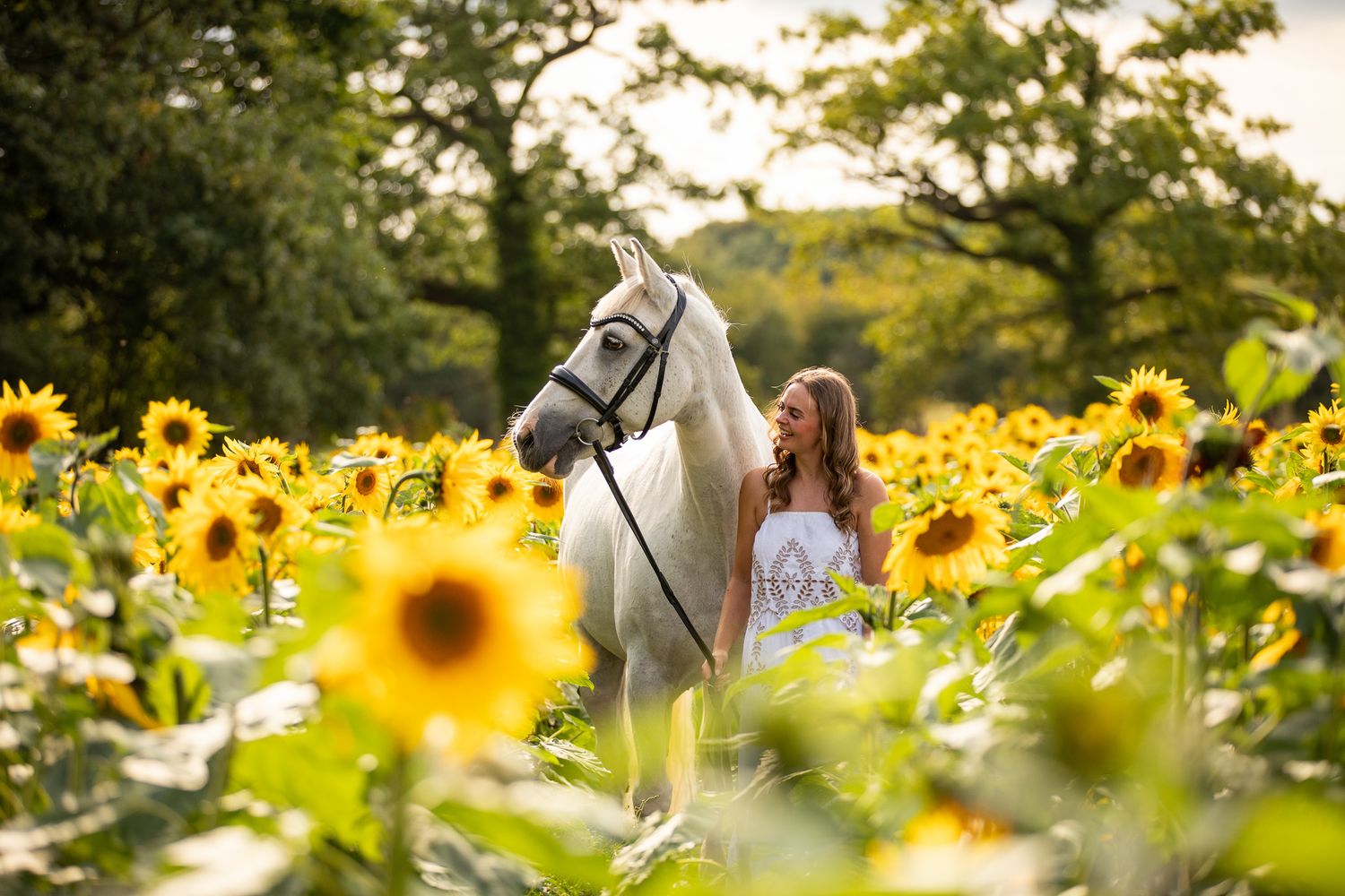 A couple in wedding attire walks together through a scenic wooded area with daffodils in the foreground.
