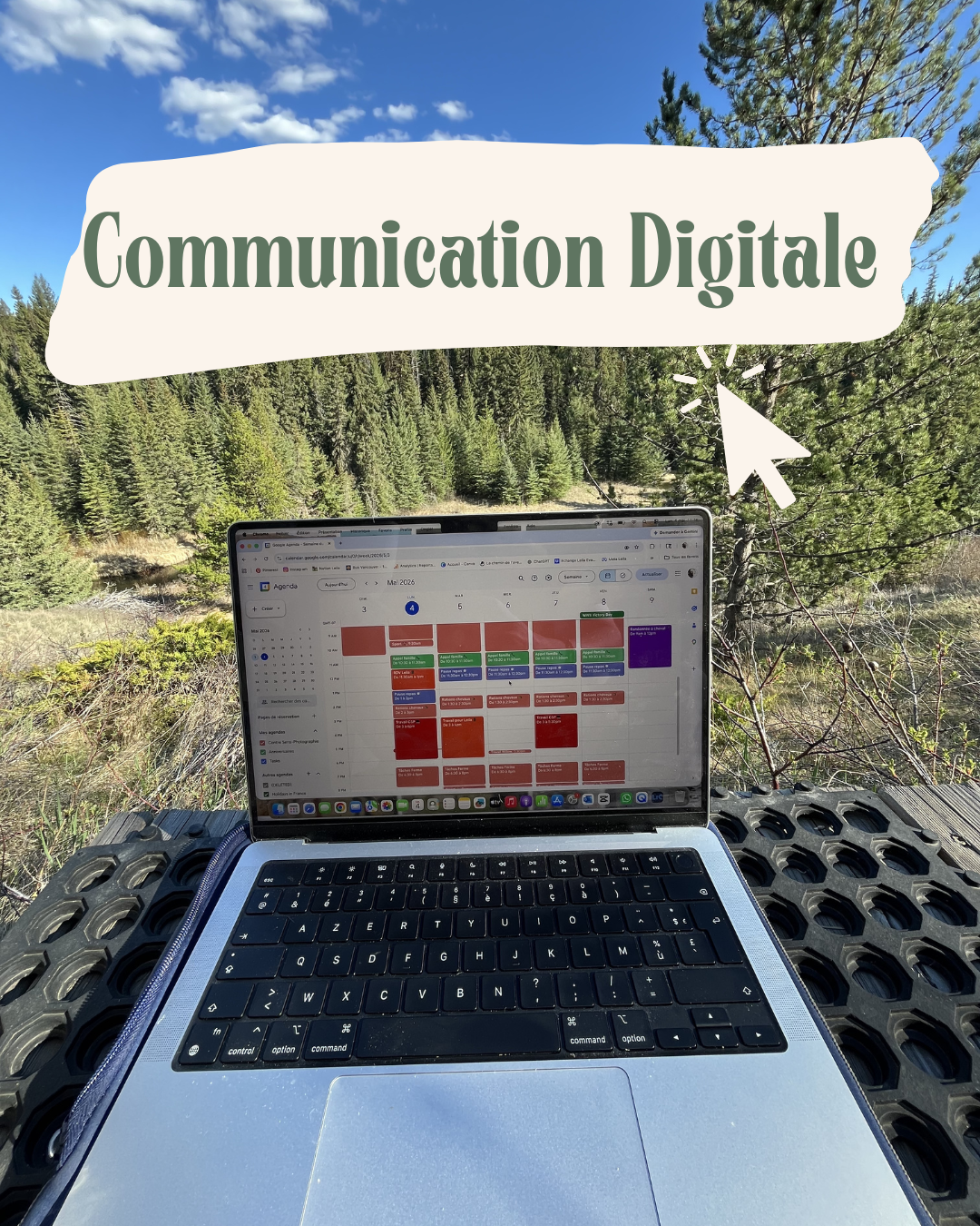 Service en ligne pour professionnels