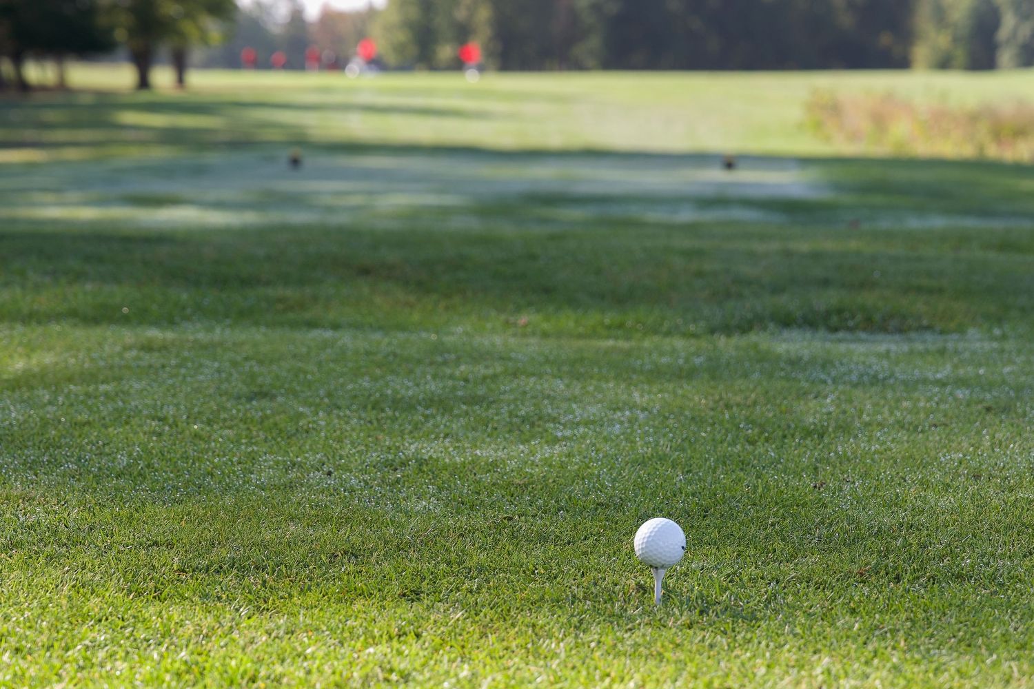 A white golf ball on a tee on a lush green golf course fairway with red flags visible in the background.