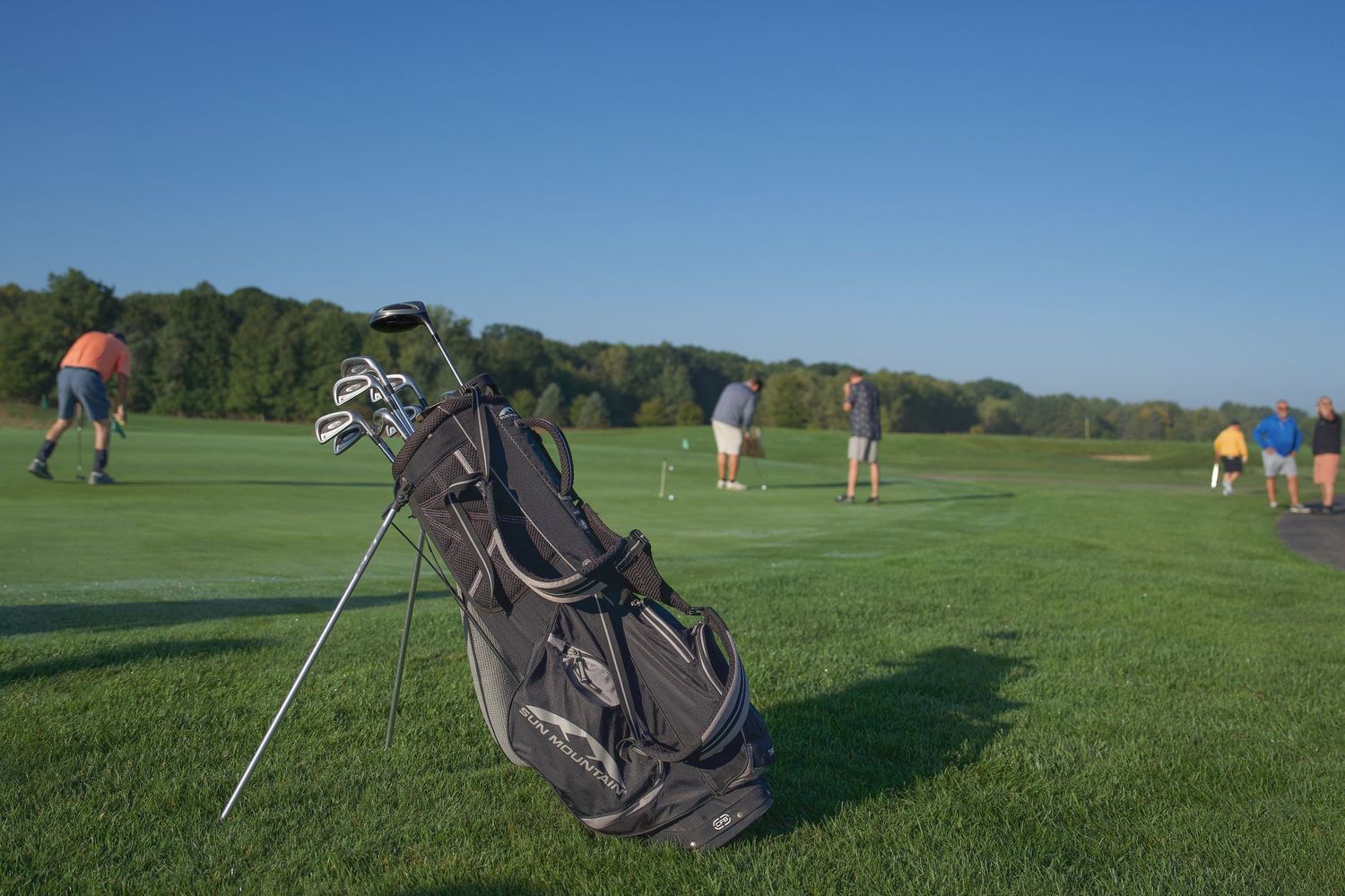 Golf bag with clubs in foreground on lush green course with players putting in background on sunny day.