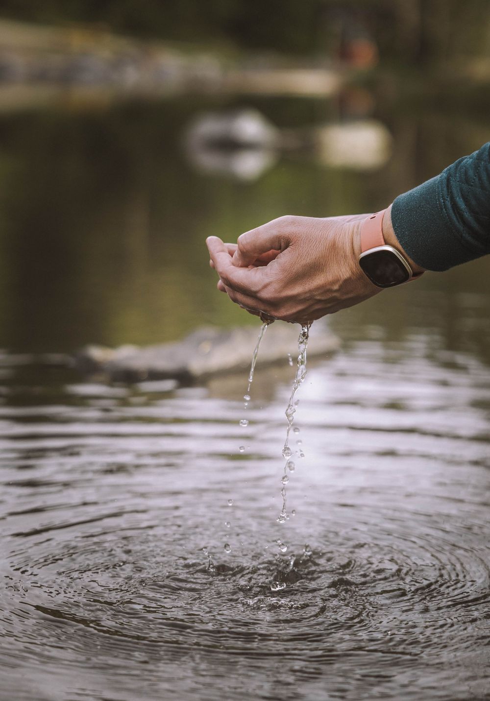 Hands cupped over a calm lake releasing water droplets, creating ripples on the surface in a serene outdoor setting.