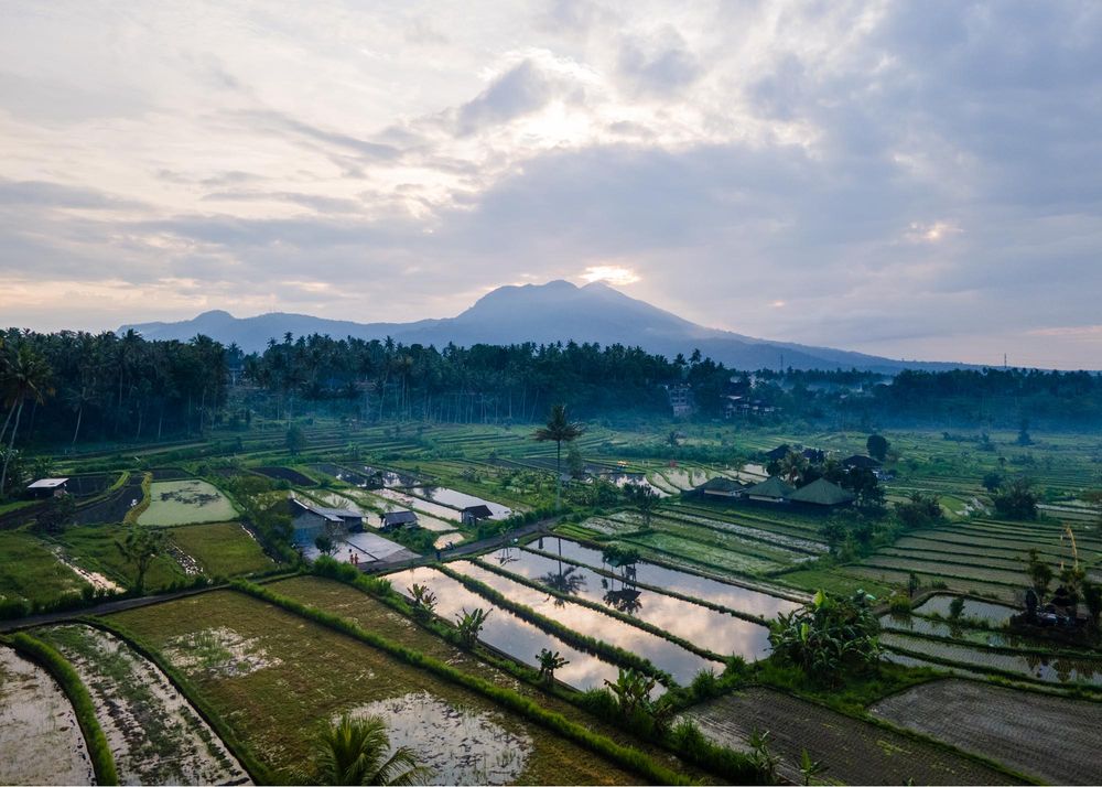 Aerial view of lush green rice paddies reflecting sky at sunset with misty volcanic mountain backdrop in Bali, Indonesia.