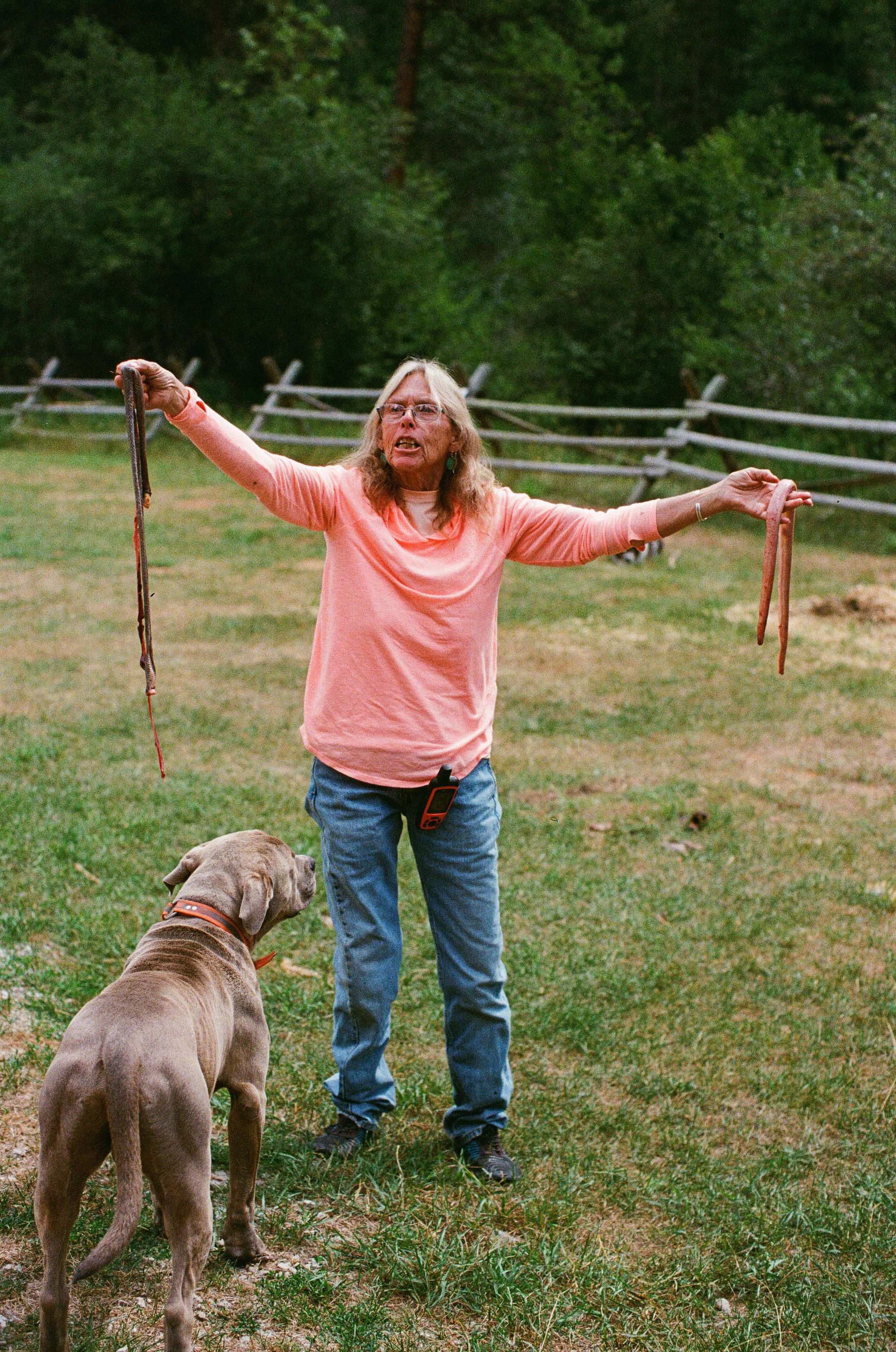 Woman in pink shirt holding dog leashes with arms outstretched, standing beside a Weimaraner dog on green grass.