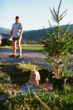 Young child sitting in a hole near a small pine tree while an adult man stands in the background outdoors.