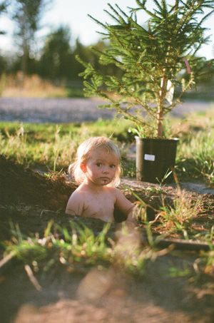 Toddler with blonde hair sitting in a hole in the ground next to a small potted evergreen tree outdoors.