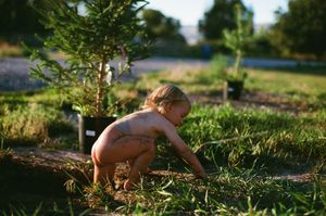 Toddler playing outdoors near small evergreen trees in a sunny garden, exploring nature in warm golden light.