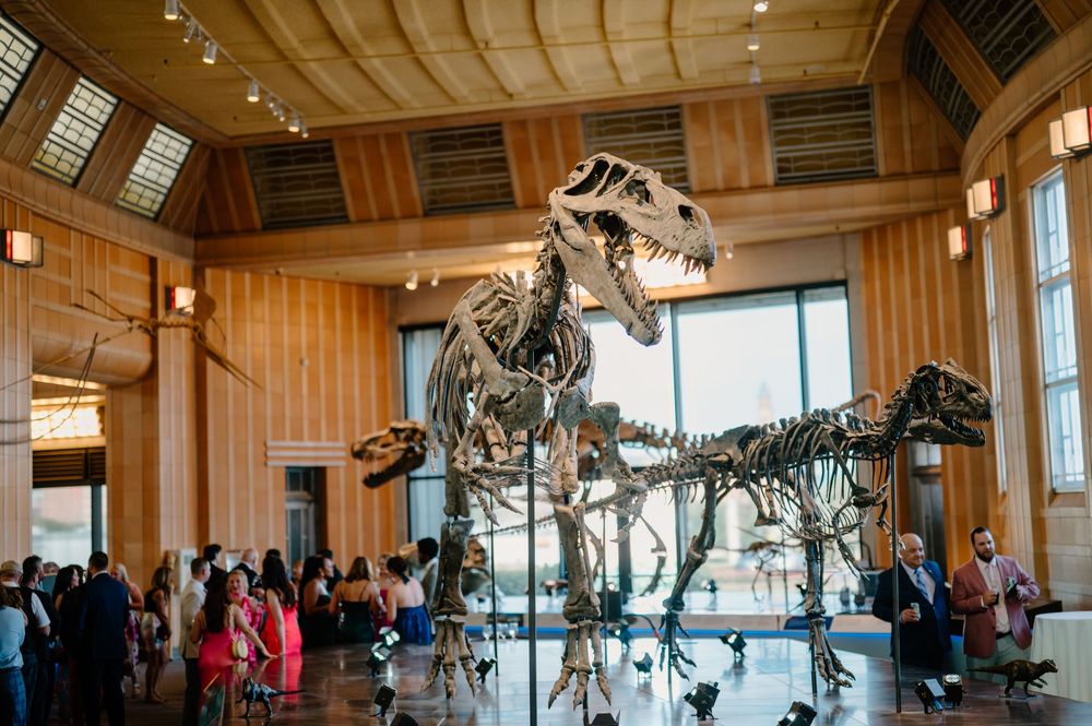 Massive T-Rex dinosaur skeletons on display in a grand museum hall with wooden walls and visitors below.