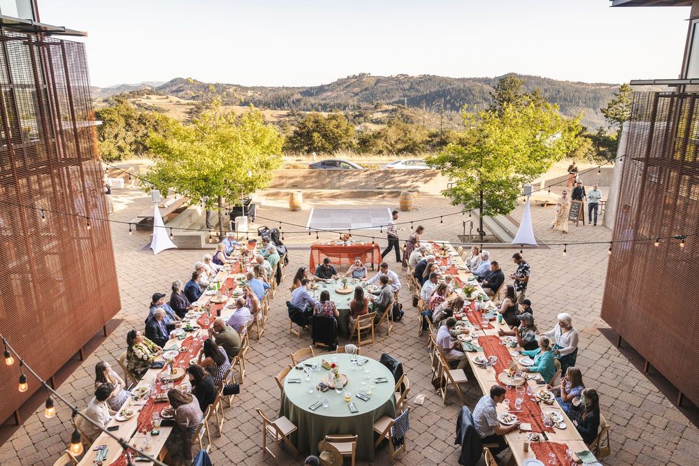 Aerial view of an elegant outdoor wedding reception with long tables set against a scenic vineyard landscape.