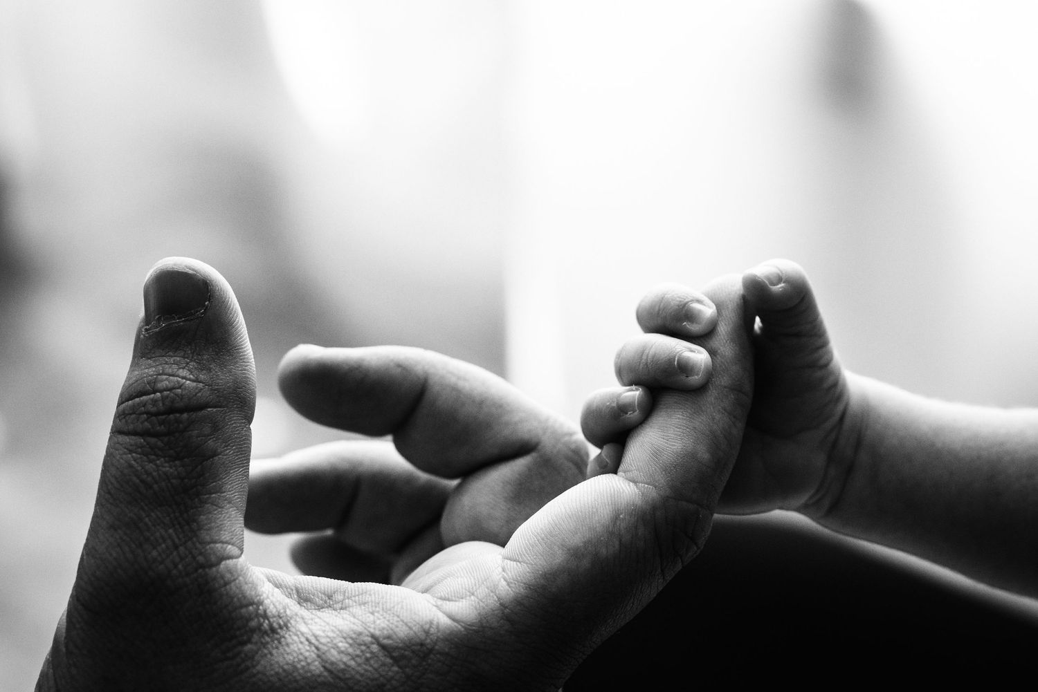 Black and white photo of a baby's tiny hand grasping an adult's finger, symbolizing love and new life.