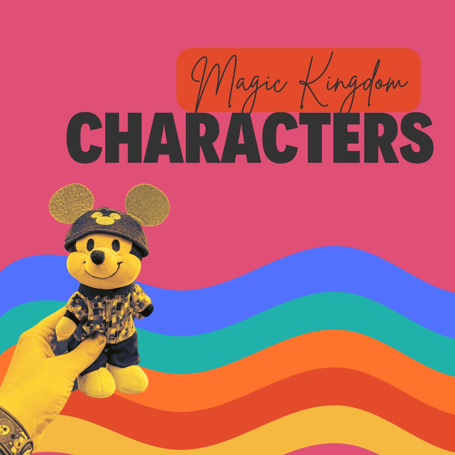 A Mickey Mouse plush toy wearing camouflage clothing against a pink and blue wavy background with text saying Magic Kingdom.